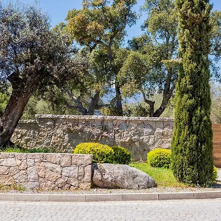 Domaine D'arca Vecchio - Location T2 - 4 Personnes 